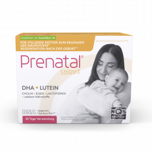 Prenatal Stillzeit
